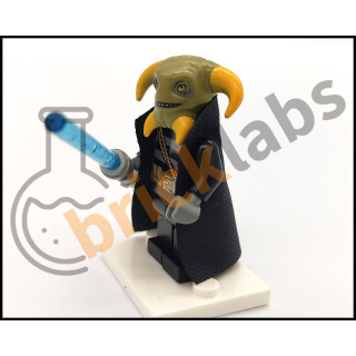 sw04b