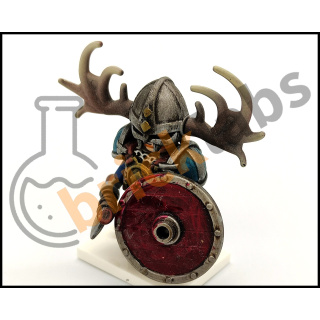 viking2
